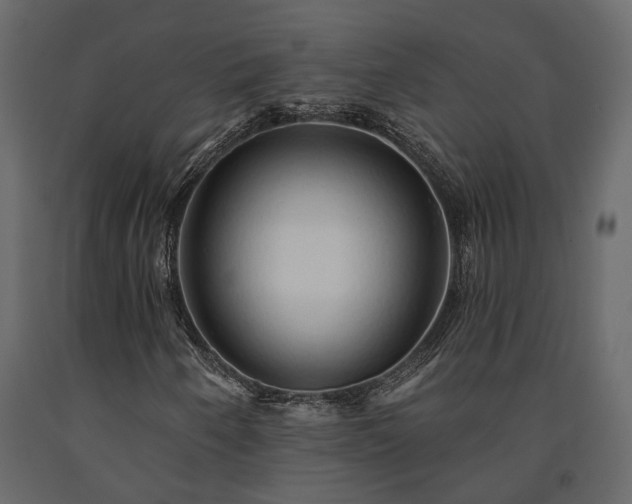 X0000091531250200708241704