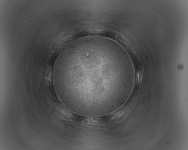 X0000091531251200708241704