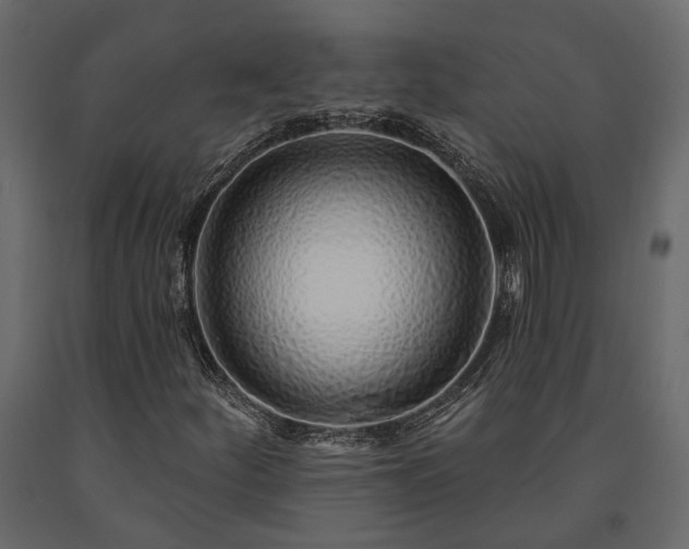 X0000091531252200708241704