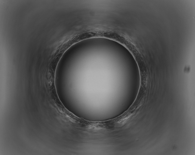 X0000091531253200708241704
