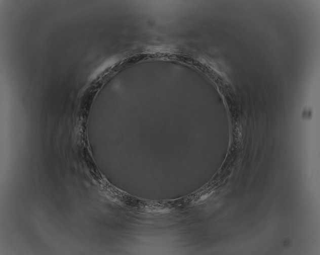X0000091531254200708241704