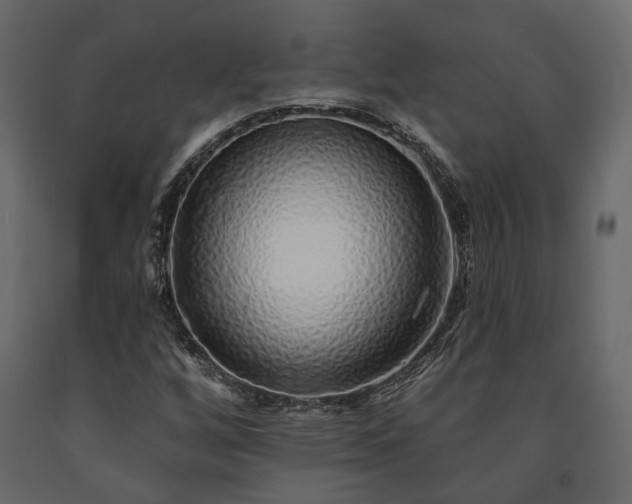 X0000091531256200708241704