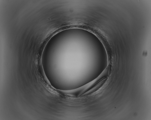 X0000091531257200708241704
