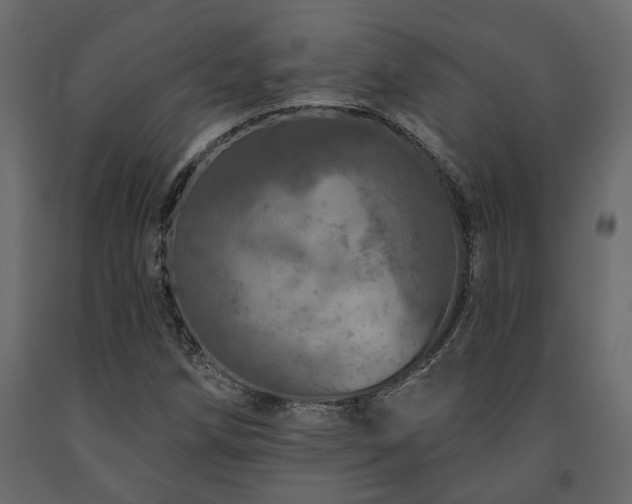 X0000091531258200708241704