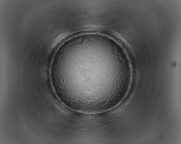 X0000091531259200708241704