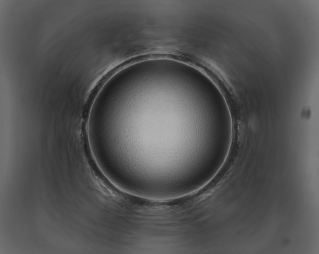 X0000091531260200708241704
