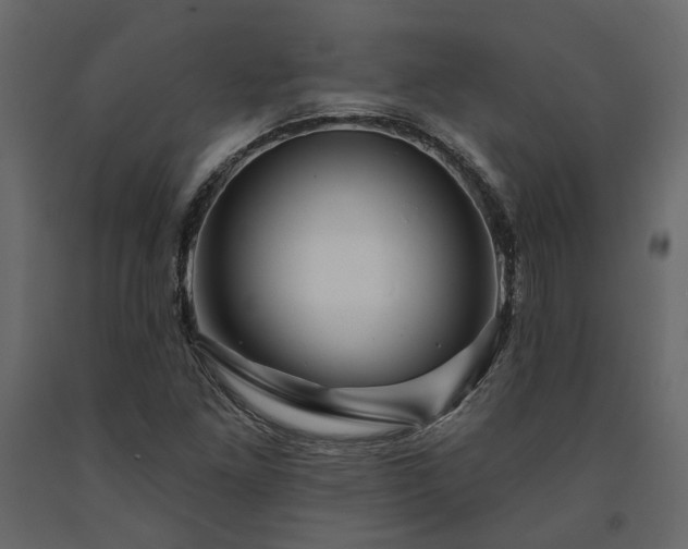 X0000091531261200708241704