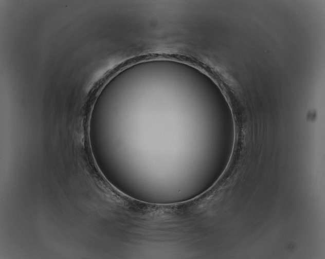 X0000091531262200708241704