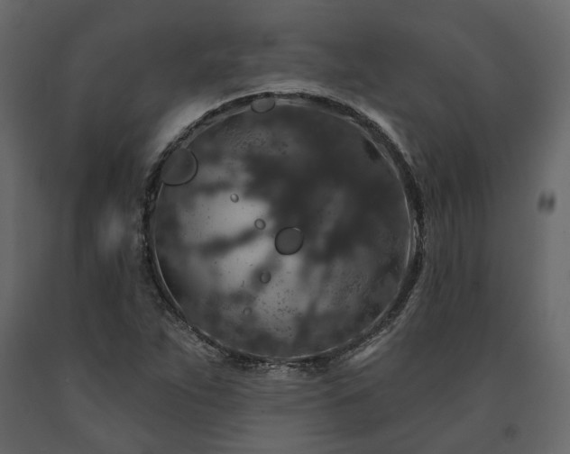 X0000091531263200708241704