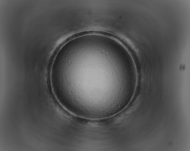 X0000091531264200708241704