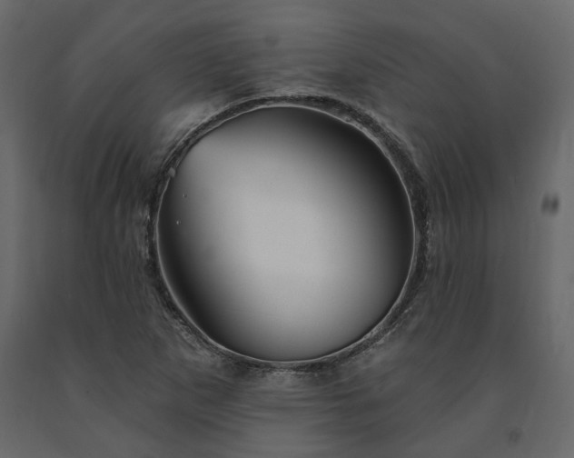 X0000091531265200708241704