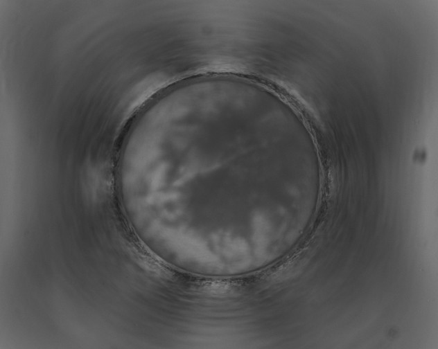 X0000091531266200708241704