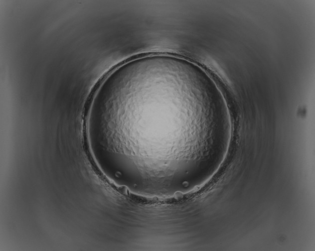 X0000091531268200708241703