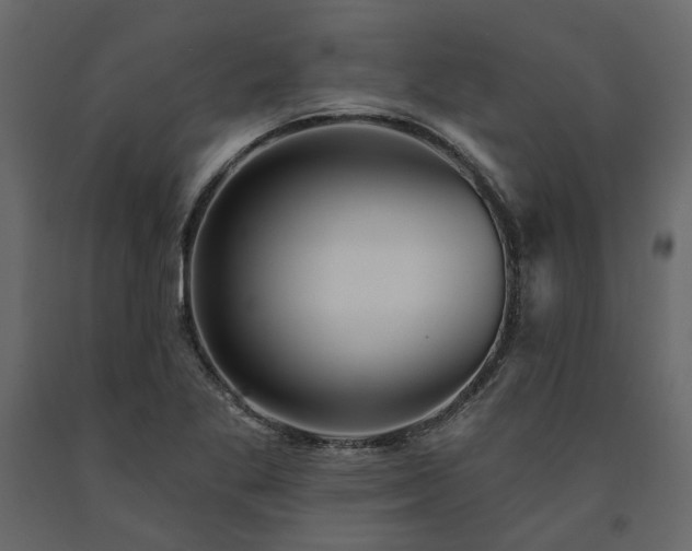 X0000091531269200708241703