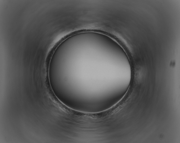 X0000091531270200708241703
