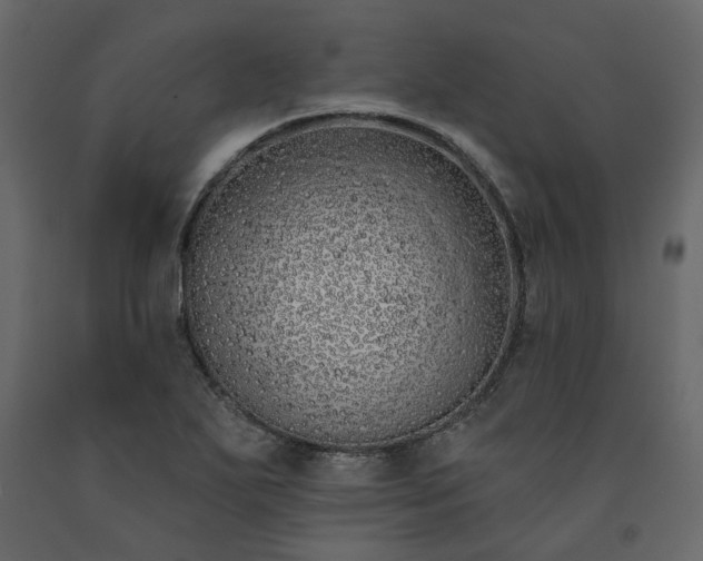X0000091531271200708241703