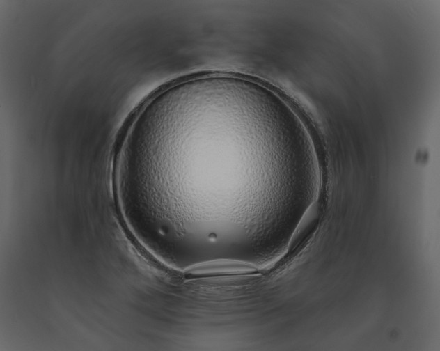 X0000091531272200708241703