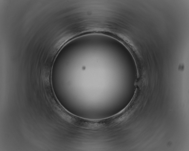 X0000091531273200708241703