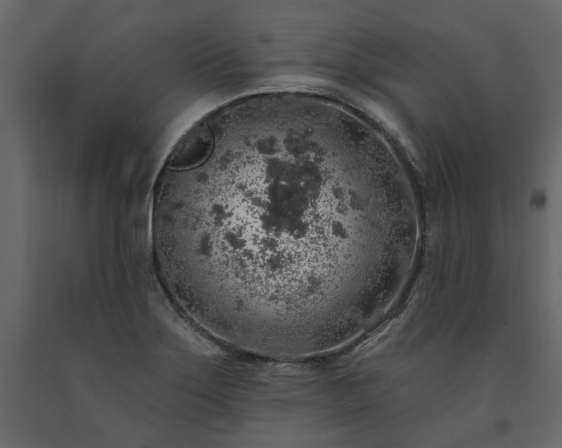 X0000091531275200708241703