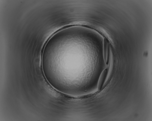X0000091531276200708241703