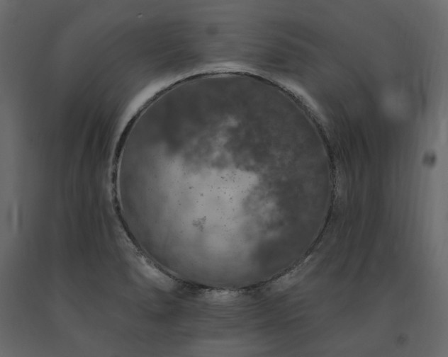 X0000091531278200708241703
