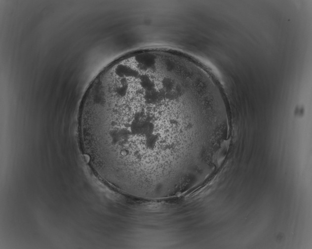 X0000091531279200708241703