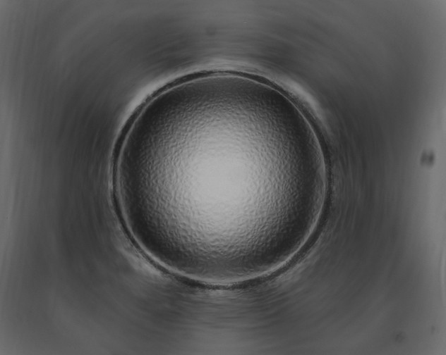 X0000091531280200708241703