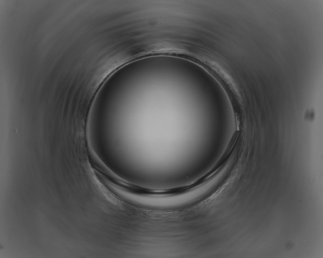 X0000091531281200708241703
