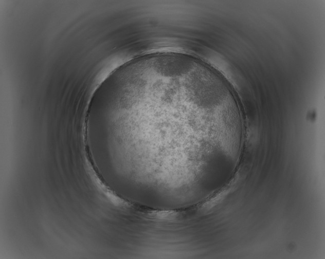 X0000091531282200708241703