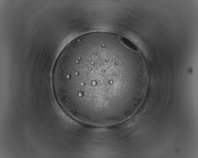 X0000091531283200708241703