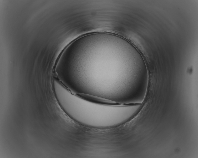 X0000091531284200708241703