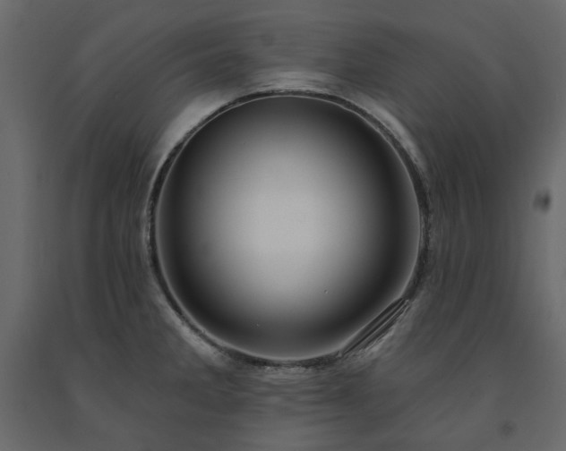 X0000091531285200708241703