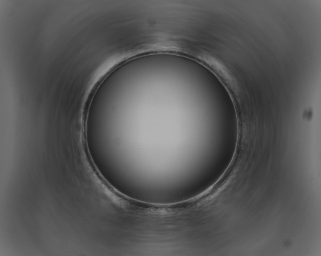 X0000091531286200708241703