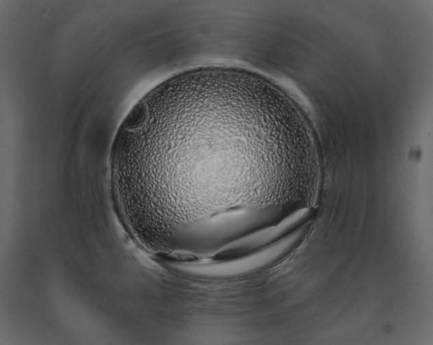 X0000091531287200708241703