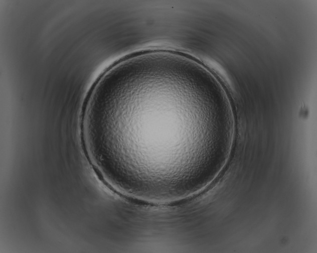 X0000091531288200708241703