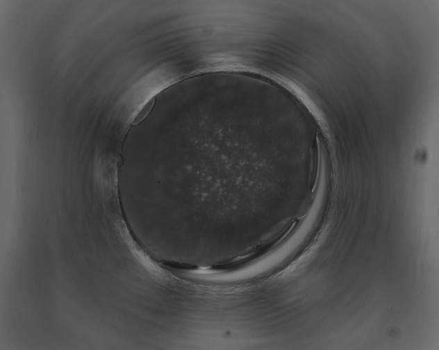 X0000091531289200708241703
