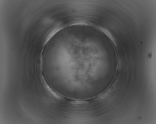 X0000091531290200708241703