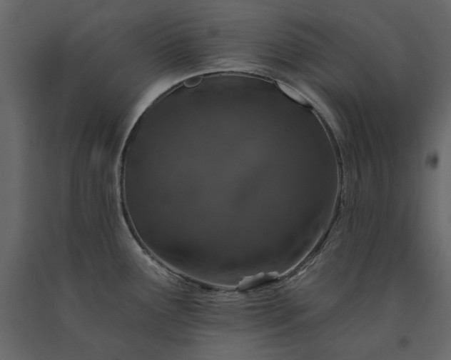 X0000091531291200708241703