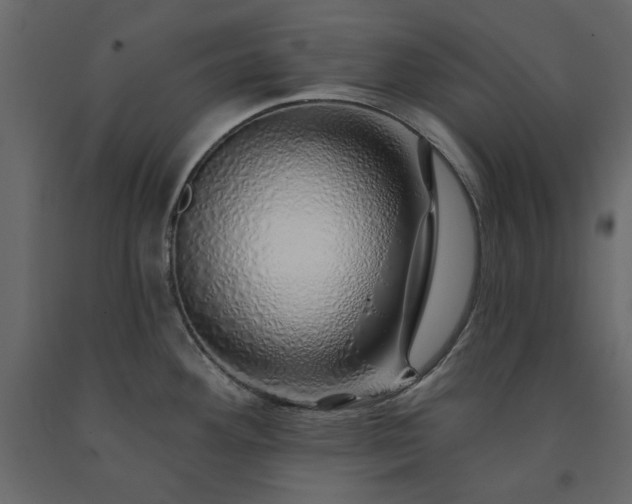X0000091531292200708241703