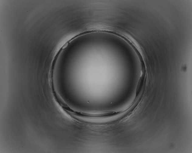 X0000091531293200708241703