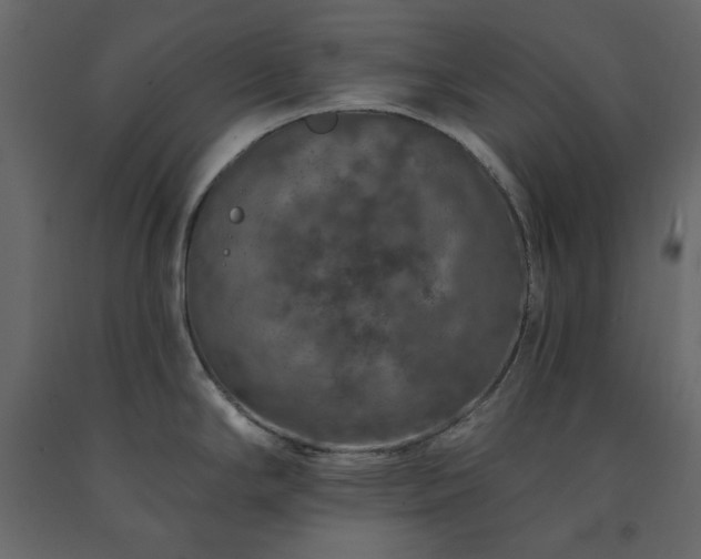 X0000091531294200708241703
