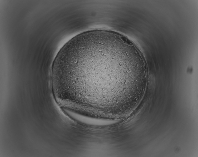 X0000091531295200708241703