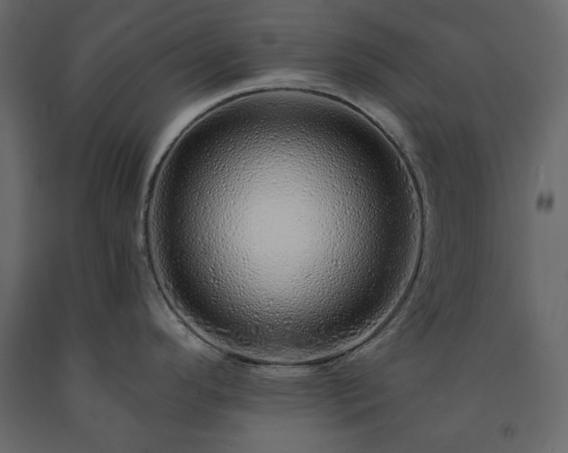 X0000091531296200708241703