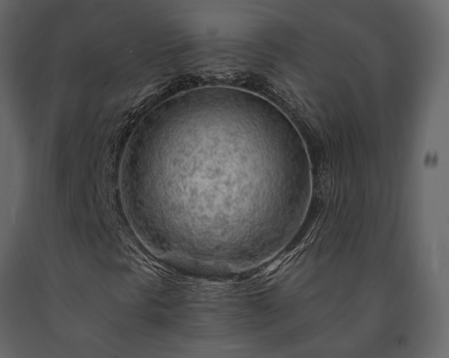 X0000091531297200708241702