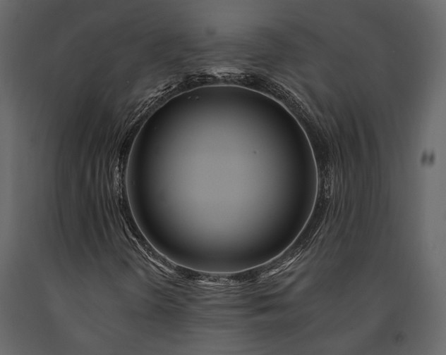 X0000091531298200708241702