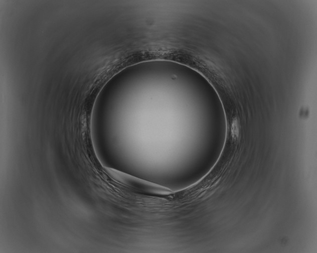 X0000091531299200708241702