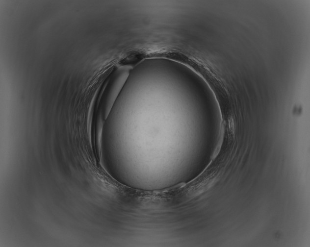 X0000091531300200708241702