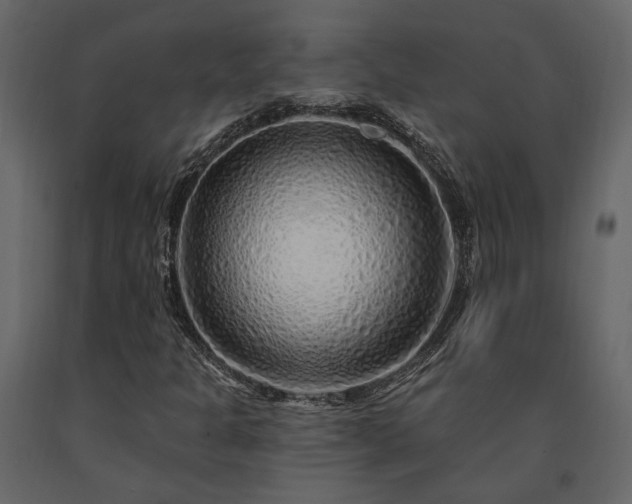 X0000091531301200708241702