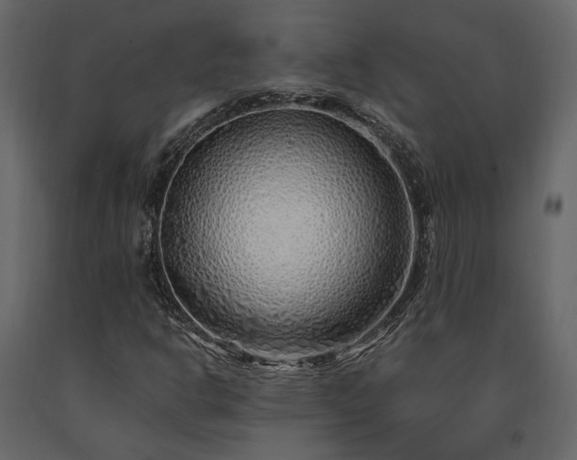 X0000091531302200708241702