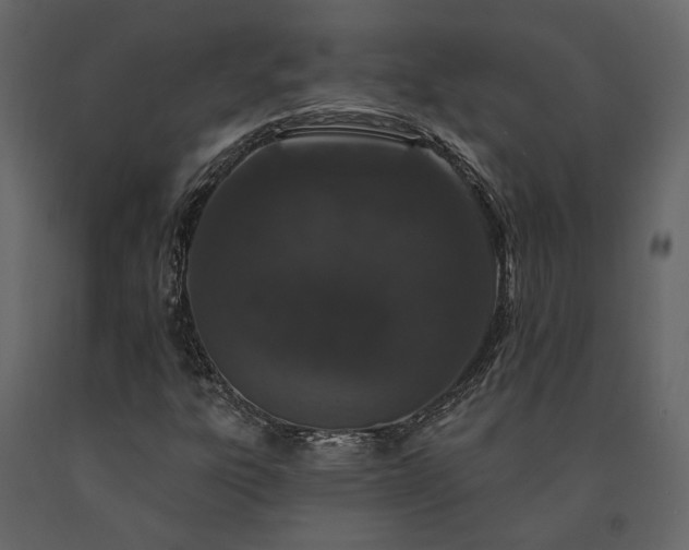 X0000091531303200708241702